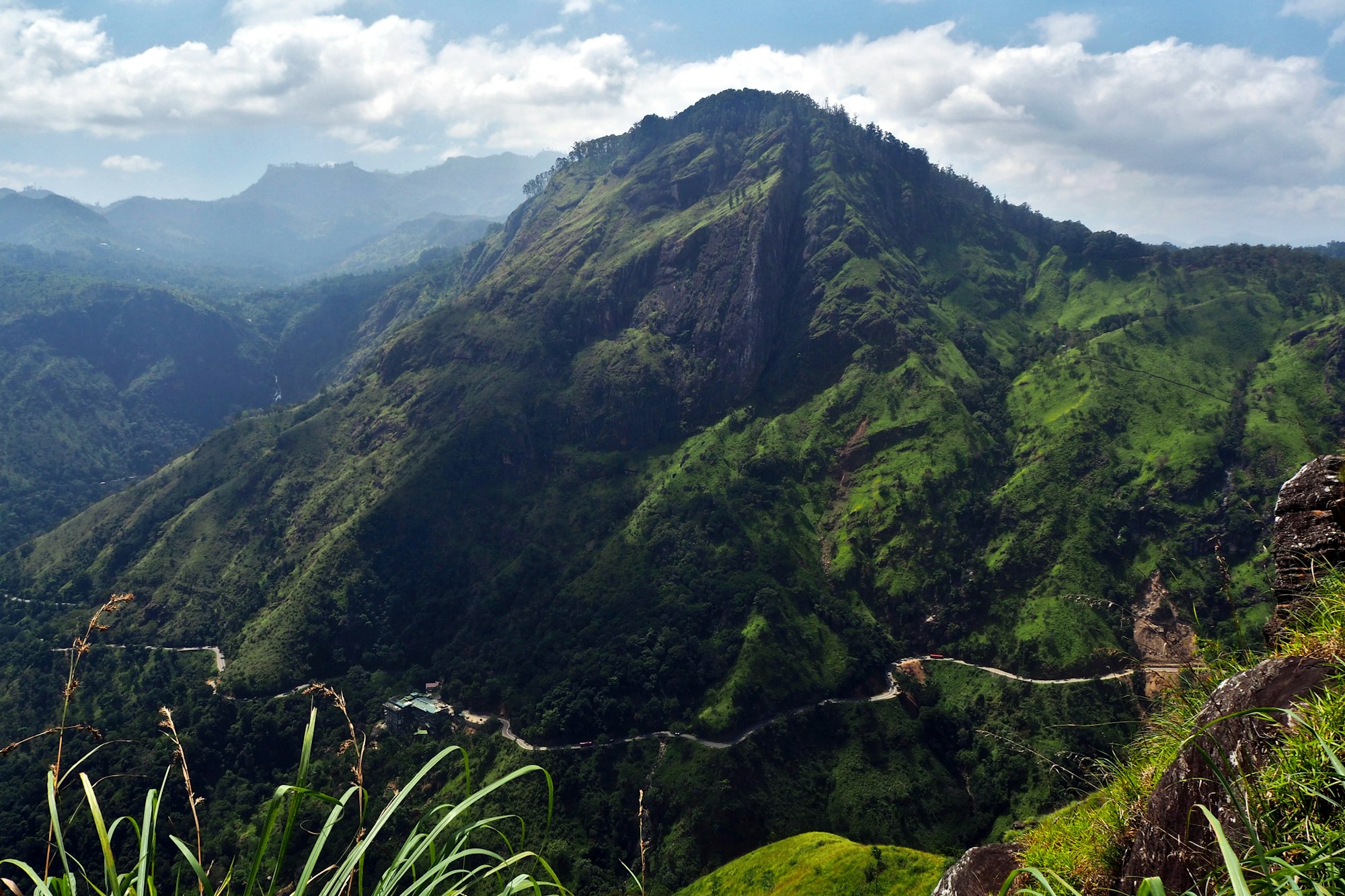 Grüne Hochländer in Sri Lanka